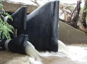 What is a duckbill check valve？